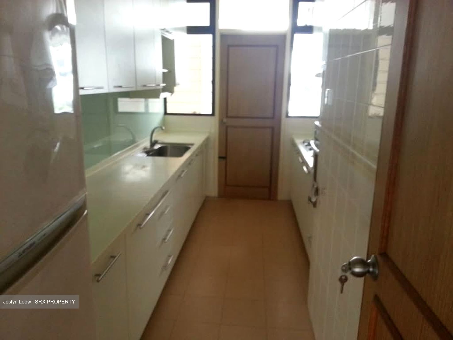 Tanglin Park (D10), Condominium #591846491